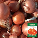 Imperial Topaz' Yellow Onion Seeds, 10g