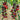 119 Indigo Ruby Tomato, 5 Seeds