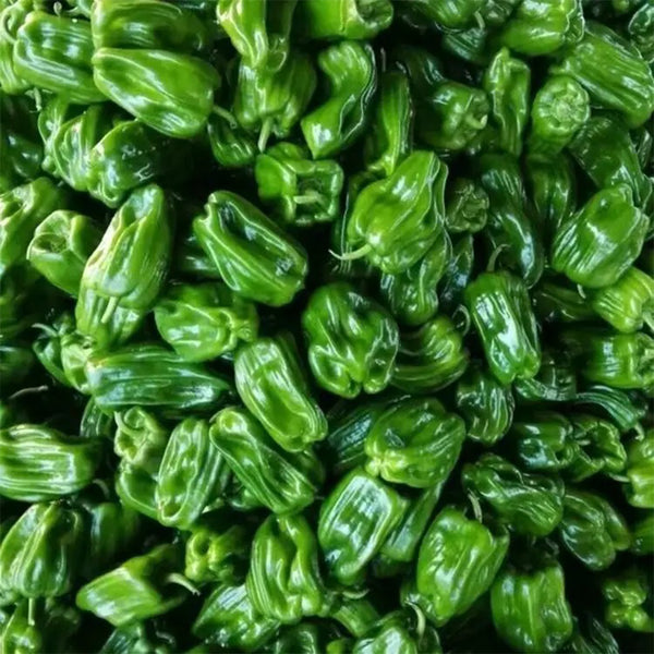 Wrinkled Spicy Pepper No.1 Seeds, 30 Seeds