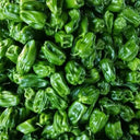 Wrinkled Spicy Pepper No.1 Seeds, 30 Seeds