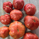 739 Pink Jazz Tomato, 5 Seeds