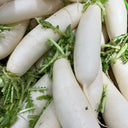 "Hakudaikon" Radish Seeds, 10g