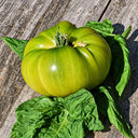 480 Jackass Green Dwarf Tomato, 5 Seeds