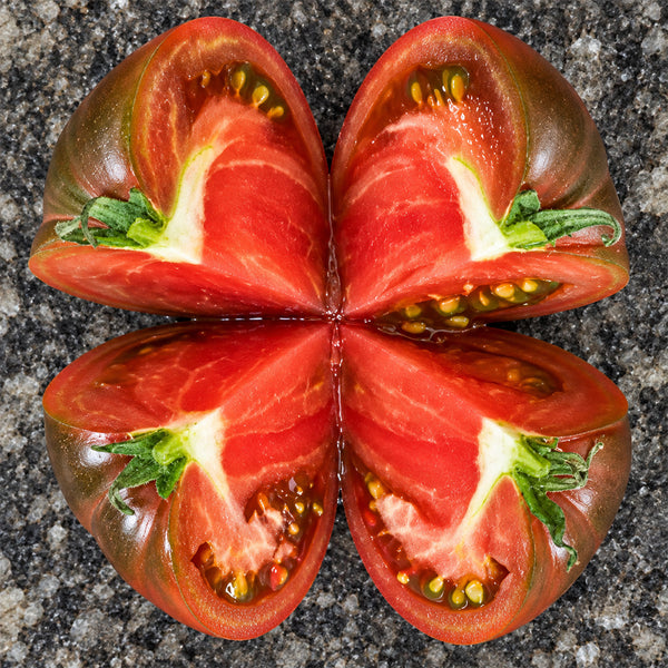 477 Dwarf Crimson Sockeye Tomato, 5 Seeds