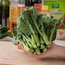 Wrinkle-leaf Mid-flowering Chinese Kale Seeds, 20g