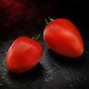671 Alice Tomato, 5 Seeds