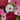 Swamp Rose Mallow Mixed Seeds, 100 Seeds