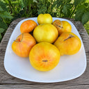 72 Rose Beauty Tomato, 5 Seeds