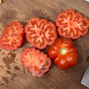 929 Sicilian Saucer Giant Tomato, 5 Seeds