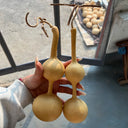 Xiaosan Ting Gourd, 10 Seeds