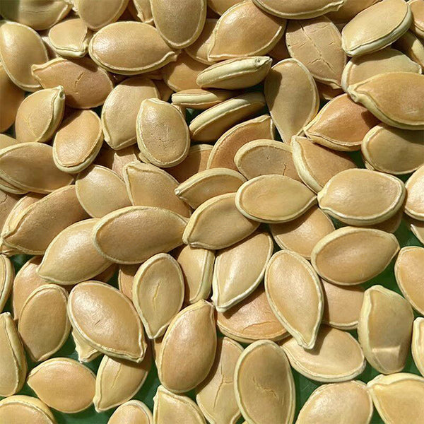 Qingyuan Rootstock, 20 Seeds