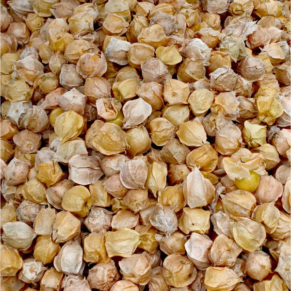 Golden Ground Cherry Seeds, 2g
