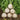 Large Round White Radish F1 Seeds, 10g