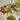 660 Mini Krasny Milo Tomato, 5 Seeds