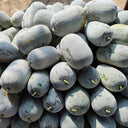 Baoqi Taro-Scented Winter Melon, 50 Seeds