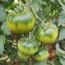 Xingchi Big Strawberry Tomato, 10 Seeds