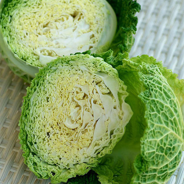 Savoy Cabbage Seeds, 20 Seeds