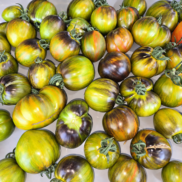 201 Gohua Lightning Tomato, 5 Seeds
