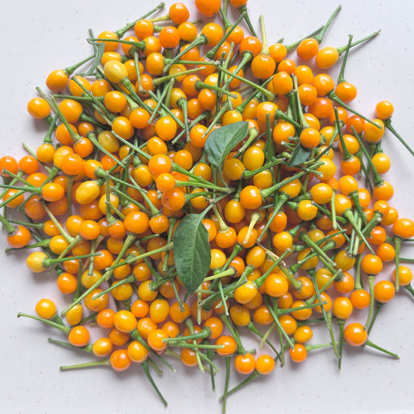 Aji Charapita, 20 Seeds