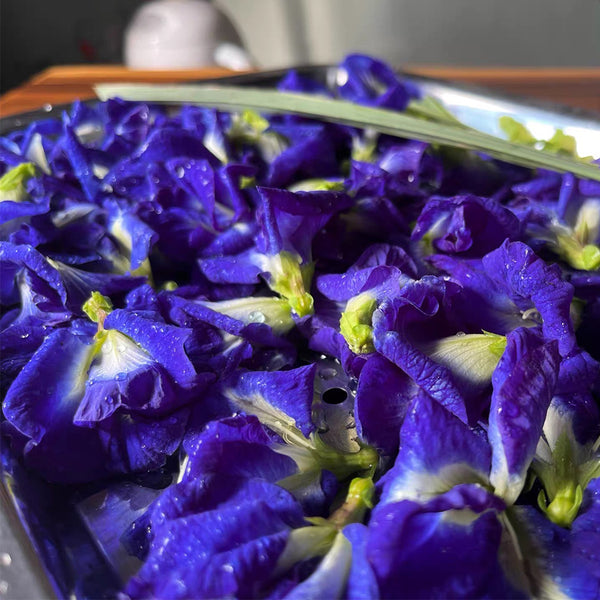 Butterfly pea Seeds, 50 Seeds