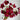 Evening Gown Red Cosmos Seeds, 2g
