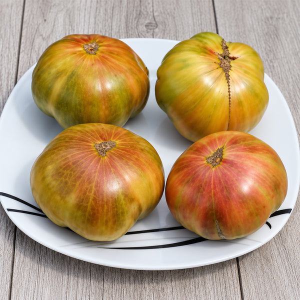 284 Quapaw Green Tomato, 5 Seeds