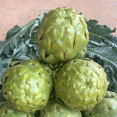 Artichoke