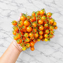 1155 Amber-Honey Braids Tomato, 5 Seeds