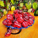 Purple Gator Jigsaw Ghost Pepper, 3 Seeds