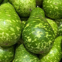 Qiangchun Duosheng Variegated Bottle Gourd Seeds, 8g