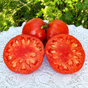 262 Mega Marv Tomato, 5 Seeds
