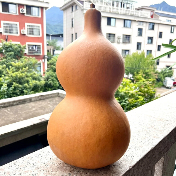 Thick-neck Eight Treasures Gourd, 10 Seeds