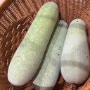 Baocui F1 Hybrid Hairy Gourd, 50 Seeds