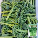 W962 Jie Mei Sprouting Broccoli, 1 Gram ≈ 200 Seeds