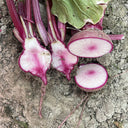 'Aizhenhong' Turnip Seeds, 5g