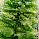 'Lvmei' Italian Lettuce Seeds, 25g