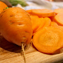U2225 Oxheart Carrot, 50~100 Seeds