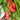 Syrian Has Goli Hot Pepper, 2~4 Seeds