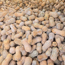 Pillow Pumpkin Seeds, 10 Seeds