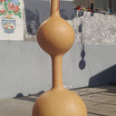 Da San Ting Gourd, 5 Seeds