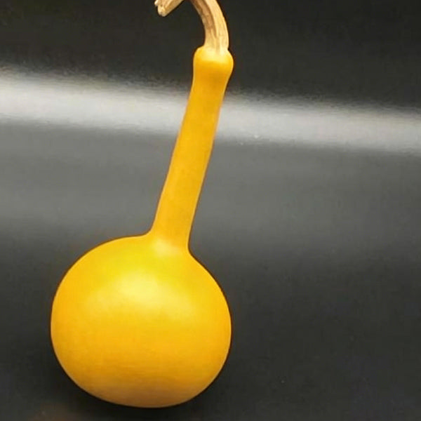 Small Long-handled Gourd, 10 Seeds