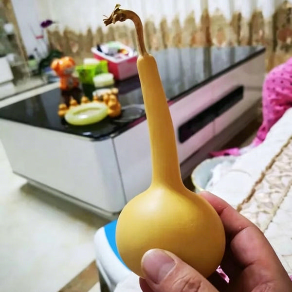 Small Long-handled Gourd, 10 Seeds