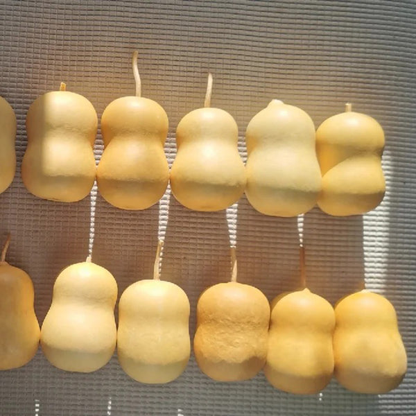 Guoguo Gourd, 10 Seeds