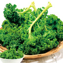 'Blue Ridge' Kale Seeds