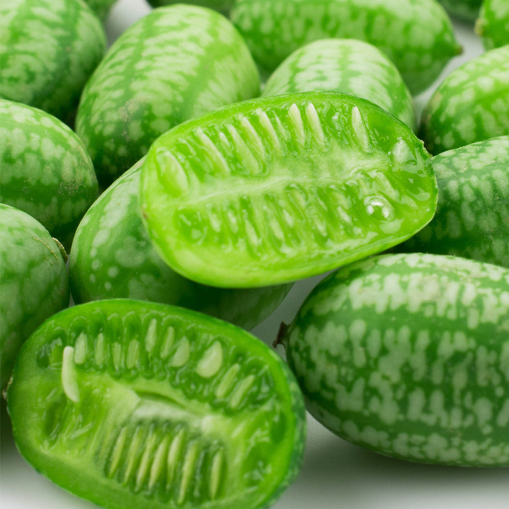 Cucamelons Seeds, Mexican Sour Gherkins