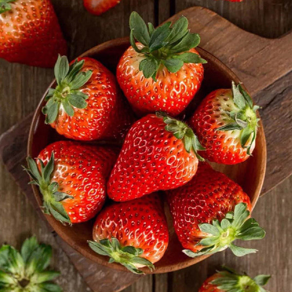 diamante strawberry seeds Akihime' Series Red Strawberry Seeds – SeedChoiceX