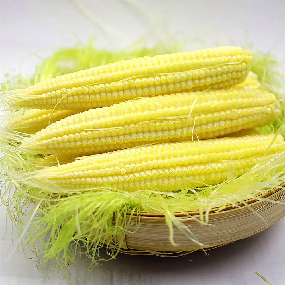 F1 Sweet Baby Corn Seeds, Pkt of 50