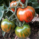 Red Zebra Tomato