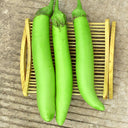 'Green Dragon' Long Eggplant Seeds