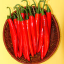 Red Hot Chili Pepper Seeds